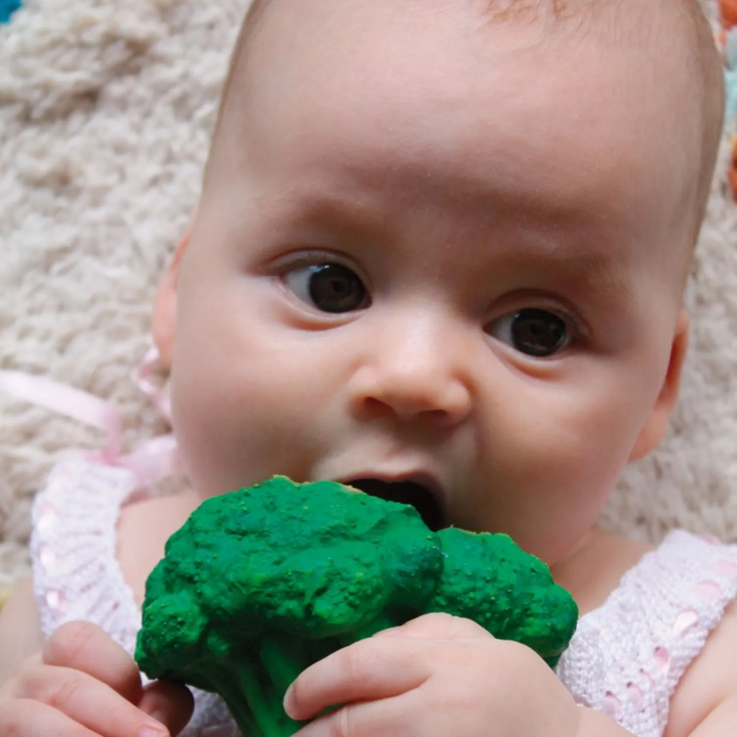 Oli & Carol Brucy The Broccoli Teether
